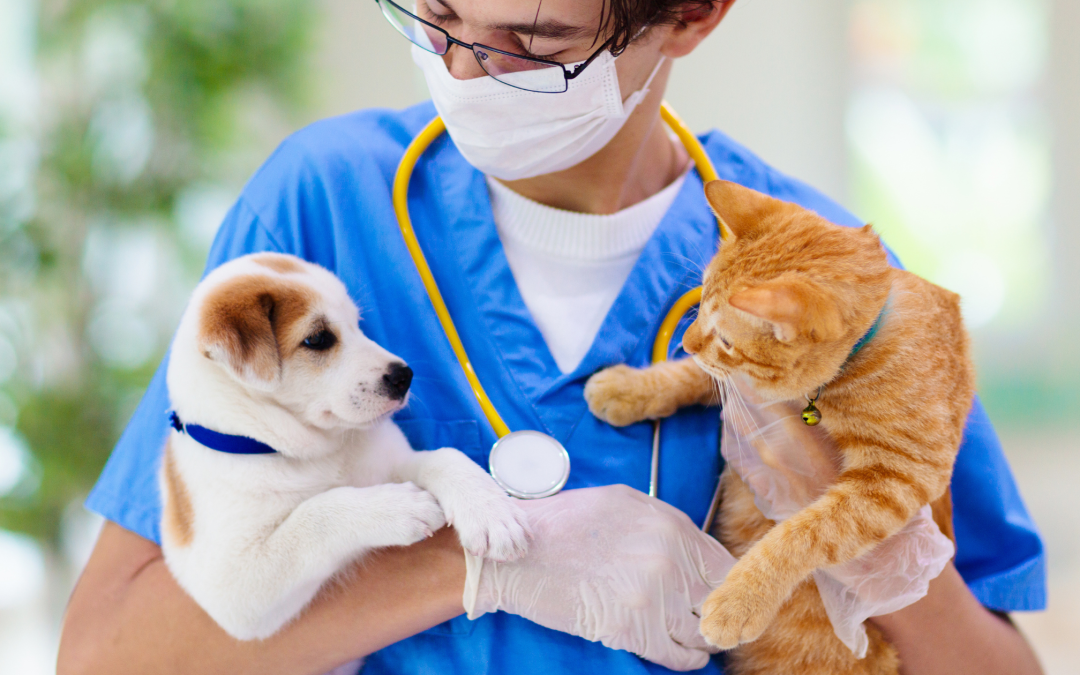 Tierkrankenversicherung, Tierarzt