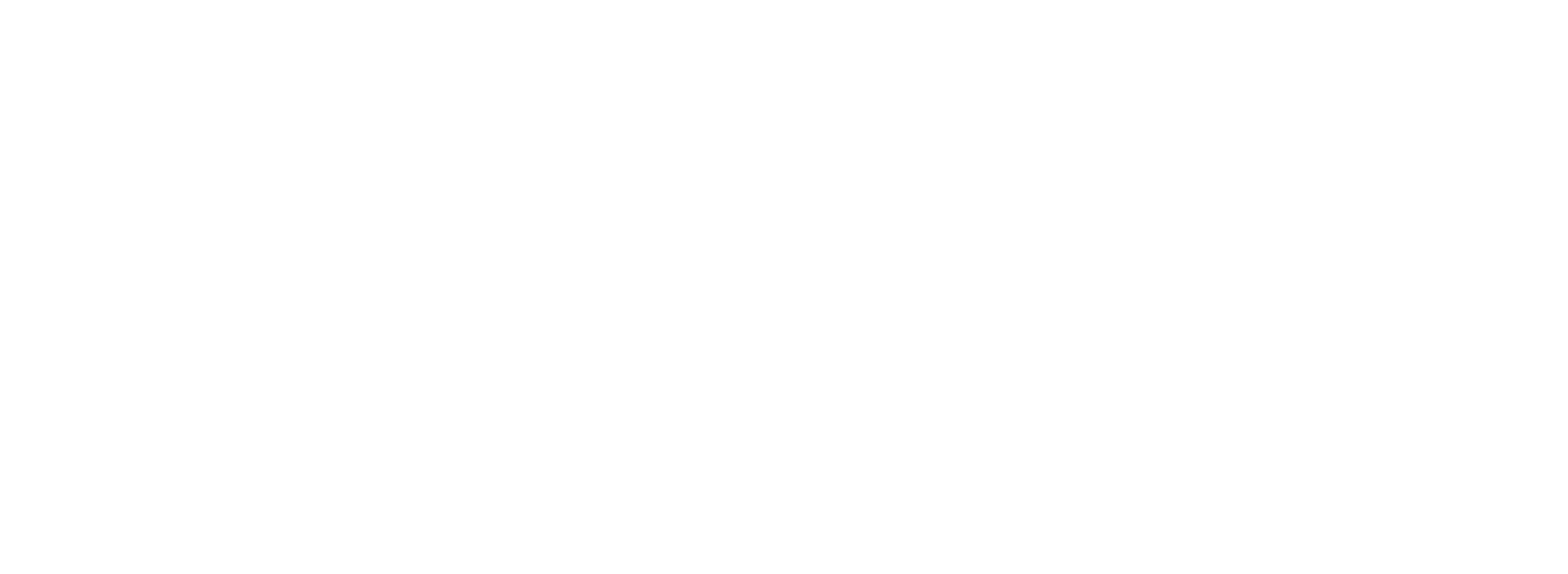 Logo-BU-Expertenservice-weiss
